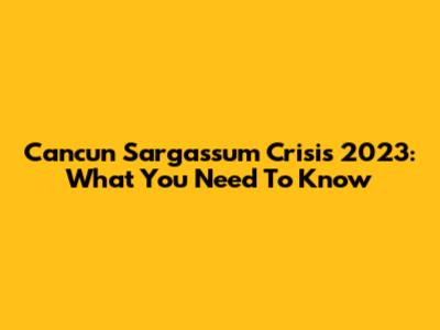 Cancun Sargassum Crisis 2023: What You Need To Know