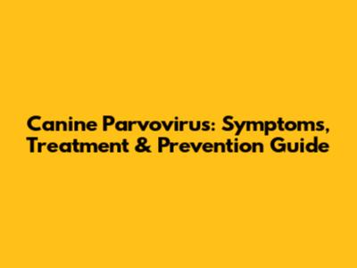 Canine Parvovirus: Symptoms, Treatment & Prevention Guide