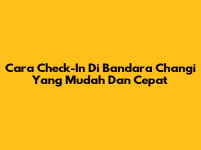 Cara Check-In Di Bandara Changi Yang Mudah Dan Cepat