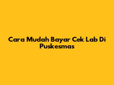 Cara Mudah Bayar Cek Lab Di Puskesmas
