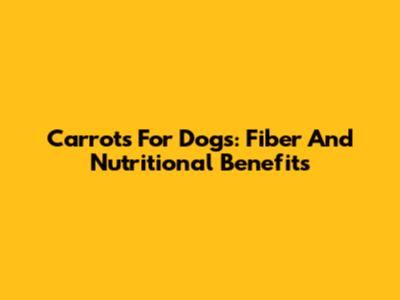 Carrots For Dogs: Fiber And Nutritional Benefits