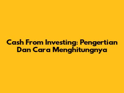 Cash From Investing: Pengertian Dan Cara Menghitungnya