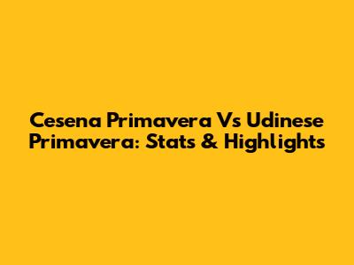 Cesena Primavera Vs Udinese Primavera: Stats & Highlights