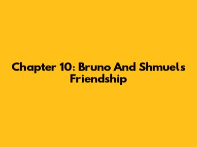 Chapter 10: Bruno And Shmuel's Friendship