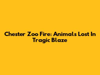 Chester Zoo Fire: Animals Lost In Tragic Blaze