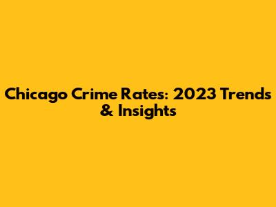 Chicago Crime Rates: 2023 Trends & Insights