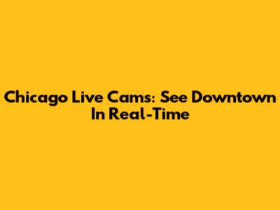 Chicago Live Cams: See Downtown In Real-Time