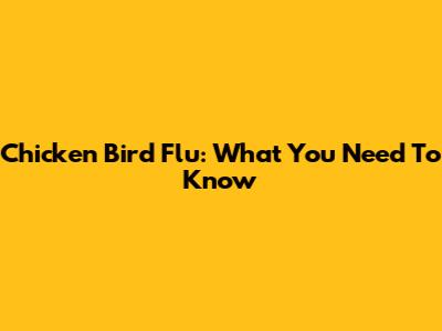 Chicken Bird Flu: What You Need To Know