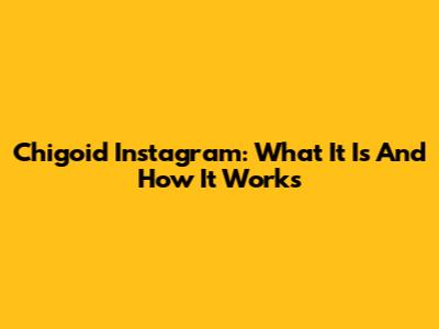 Chigoid Instagram: What It Is And How It Works