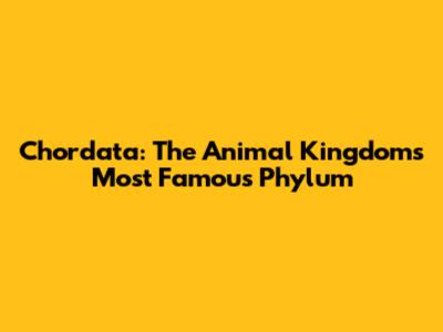 Chordata: The Animal Kingdom's Most Famous Phylum