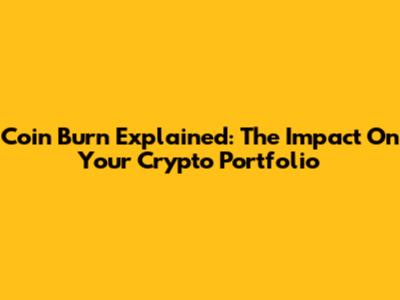 Coin Burn Explained: The Impact On Your Crypto Portfolio