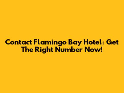 Contact Flamingo Bay Hotel: Get The Right Number Now!