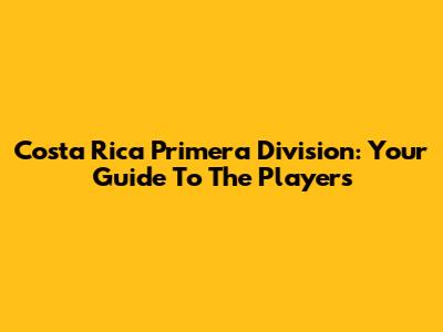 Costa Rica Primera Division: Your Guide To The Players
