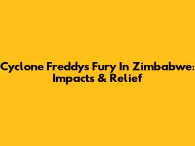 Cyclone Freddy's Fury In Zimbabwe: Impacts & Relief
