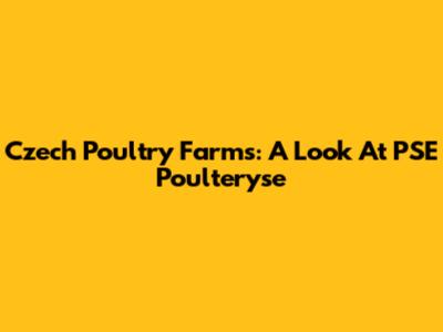 Czech Poultry Farms: A Look At PSE Poulteryse