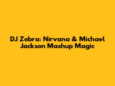 DJ Zebra: Nirvana & Michael Jackson Mashup Magic
