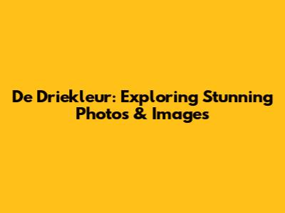 De Driekleur: Exploring Stunning Photos & Images
