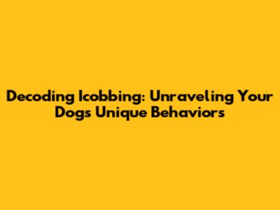 Decoding 'Icobbing': Unraveling Your Dog's Unique Behaviors