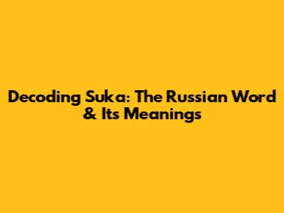 Decoding 'Suka': The Russian Word & Its Meanings