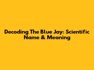 Decoding The Blue Jay: Scientific Name & Meaning
