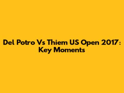Del Potro Vs Thiem US Open 2017: Key Moments