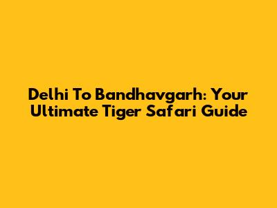 Delhi To Bandhavgarh: Your Ultimate Tiger Safari Guide