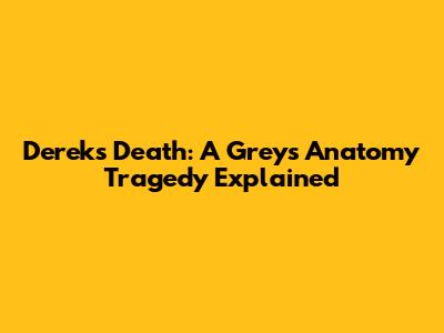 Derek's Death: A Grey's Anatomy Tragedy Explained