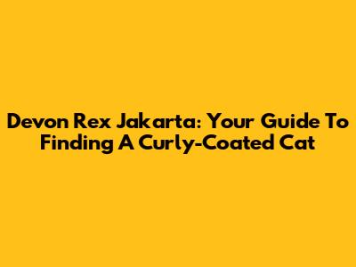 Devon Rex Jakarta: Your Guide To Finding A Curly-Coated Cat