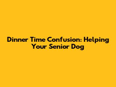 Dinner Time Confusion: Helping Your Senior Dog