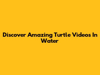Discover Amazing Turtle Videos In Water