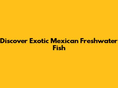 Discover Exotic Mexican Freshwater Fish