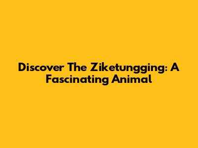 Discover The Ziketungging: A Fascinating Animal