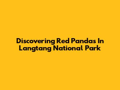 Discovering Red Pandas In Langtang National Park