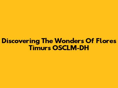 Discovering The Wonders Of Flores Timur's OSCLM-DH