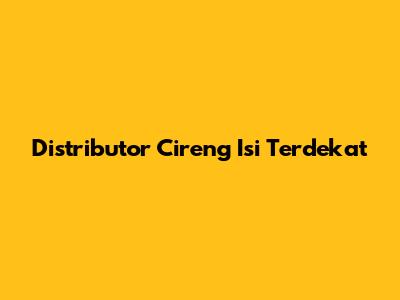 Distributor Cireng Isi Terdekat