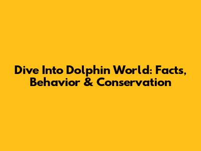 Dive Into Dolphin World: Facts, Behavior & Conservation
