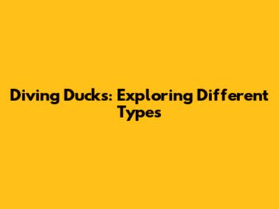 Diving Ducks: Exploring Different Types