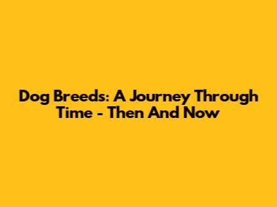Dog Breeds: A Journey Through Time - Then And Now