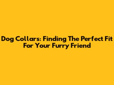 Dog Collars: Finding The Perfect Fit For Your Furry Friend