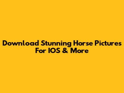 Download Stunning Horse Pictures For IOS & More