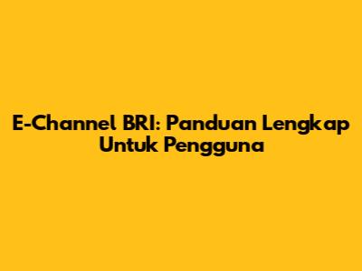 E-Channel BRI: Panduan Lengkap Untuk Pengguna