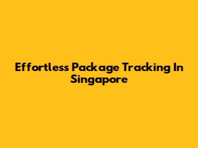 Effortless Package Tracking In Singapore