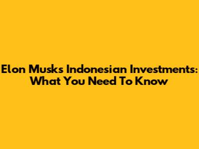 Elon Musk's Indonesian Investments: What You Need To Know