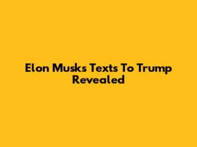 Elon Musk's Texts To Trump Revealed