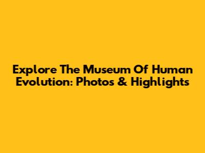 Explore The Museum Of Human Evolution: Photos & Highlights