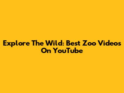 Explore The Wild: Best Zoo Videos On YouTube