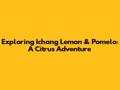 Exploring Ichang Lemon & Pomelo: A Citrus Adventure