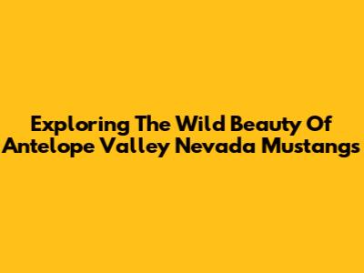 Exploring The Wild Beauty Of Antelope Valley Nevada Mustangs