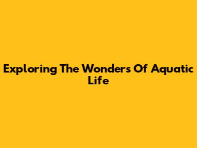 Exploring The Wonders Of Aquatic Life