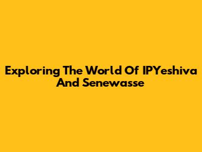 Exploring The World Of IPYeshiva And Senewasse